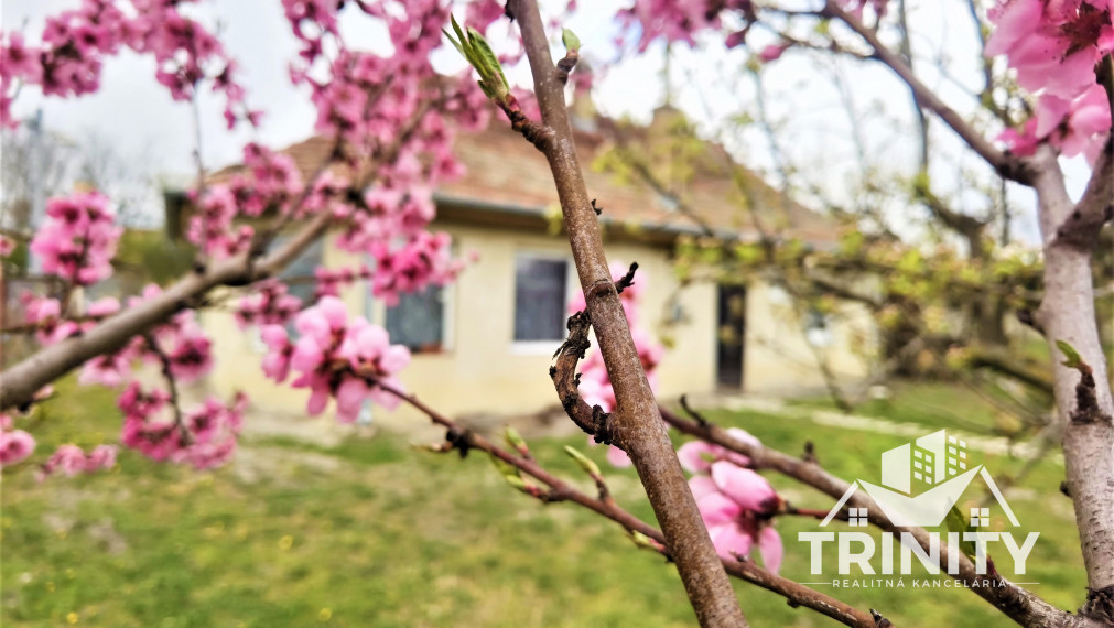 Na predaj Rodinný dom v meste Nové Zámky