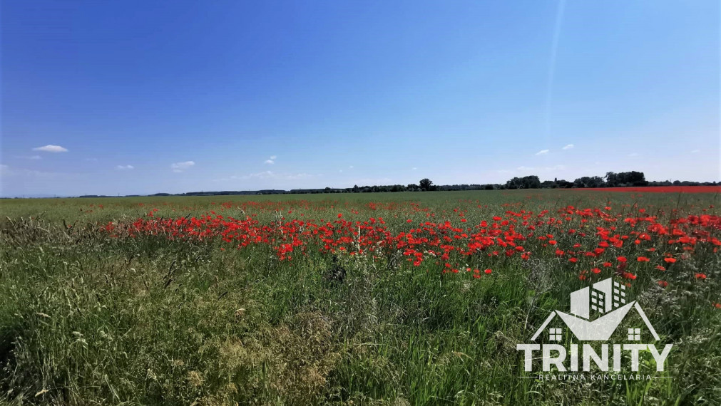 Na predaj veľký slnečný pozemok lokalita Hliník - Nové Zámky