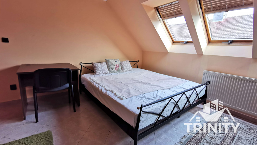 Na prenájom 1-izbový byt priamo v centre mesta v Nových Zámkoch