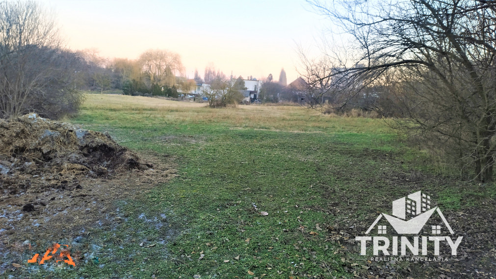 Na predaj veľký stavebný pozemok v obci Gbelce