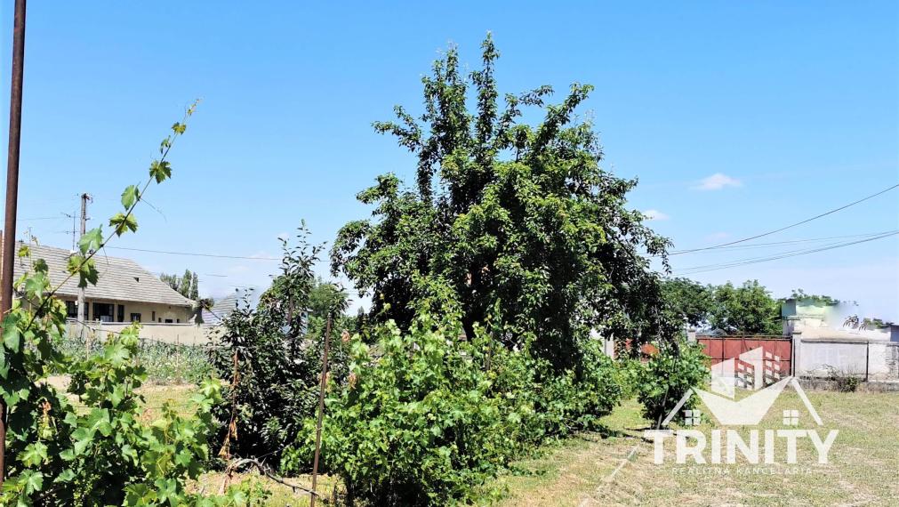 Na predaj veľký stavebný pozemok v obci Komoča