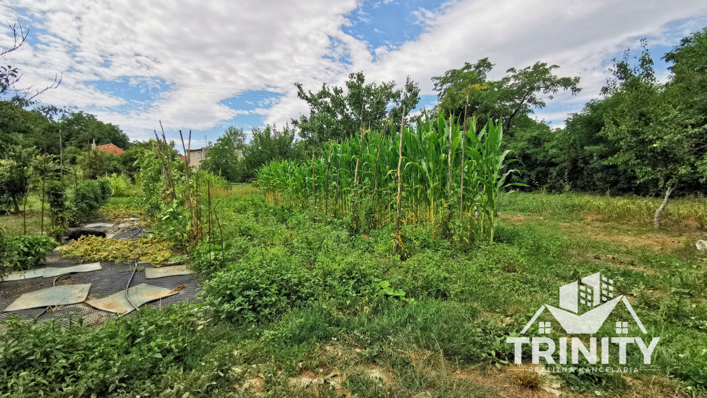 Na predaj 4-izbový rodinný dom v obci Trávnica