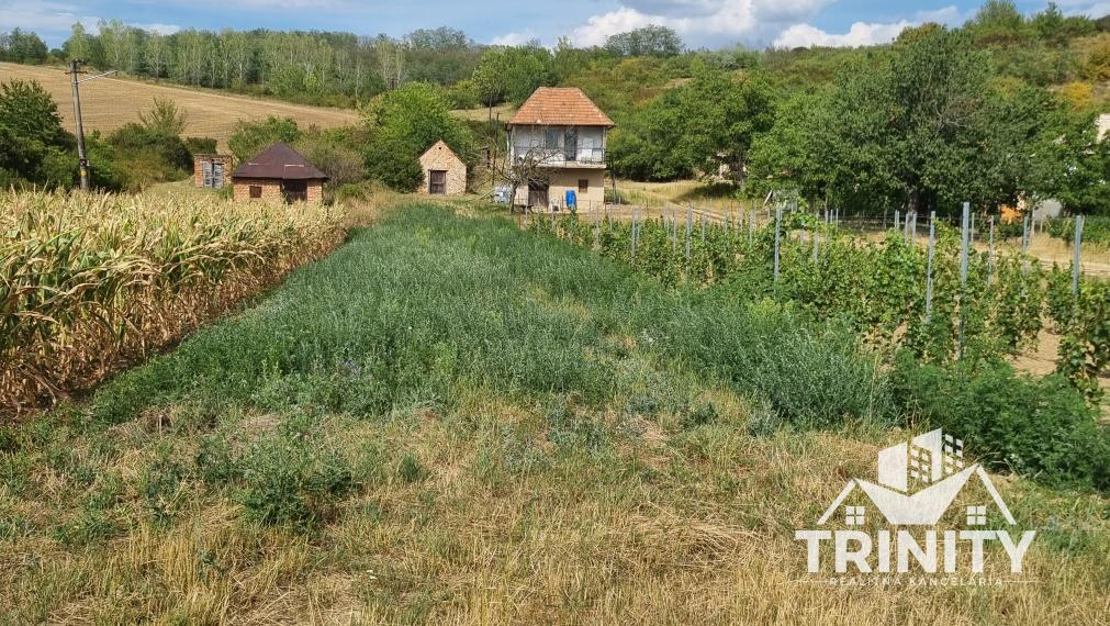 IBA U NÁS - Na predaj záhrada s pivničným domom v obci Modrany