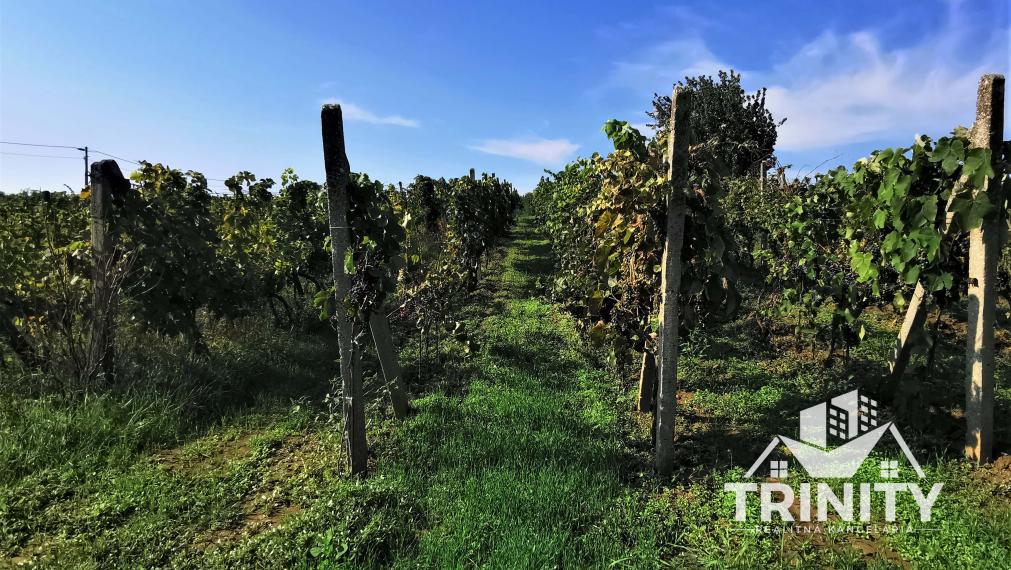 IBA U NÁS - Na predaj poschodová murovaná chata v obci Modrany