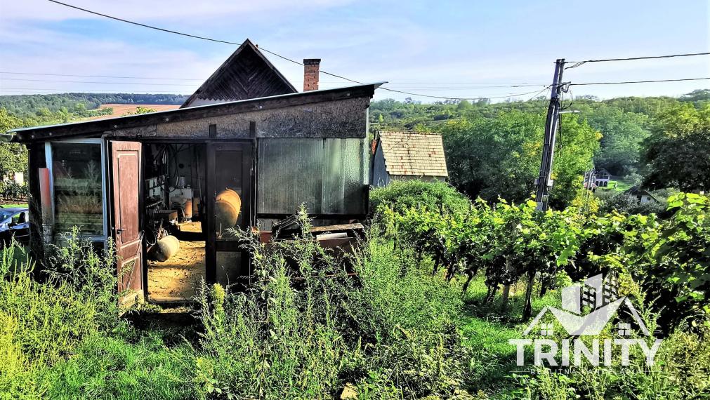 IBA U NÁS - Na predaj poschodová murovaná chata v obci Modrany