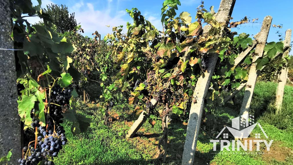 IBA U NÁS - Na predaj poschodová murovaná chata v obci Modrany