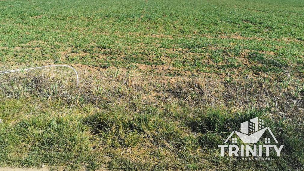 Na predaj lukratívny stavebný pozemok v obci Radava