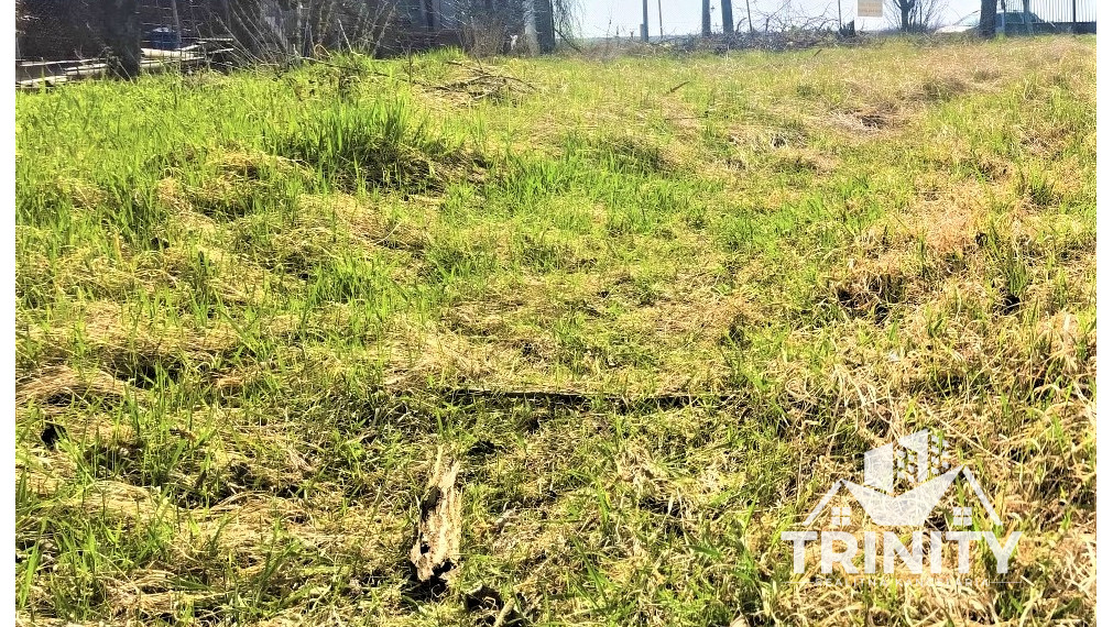 NA PREDAJ stavebný pozemok v obci Dvory nad Žitavou