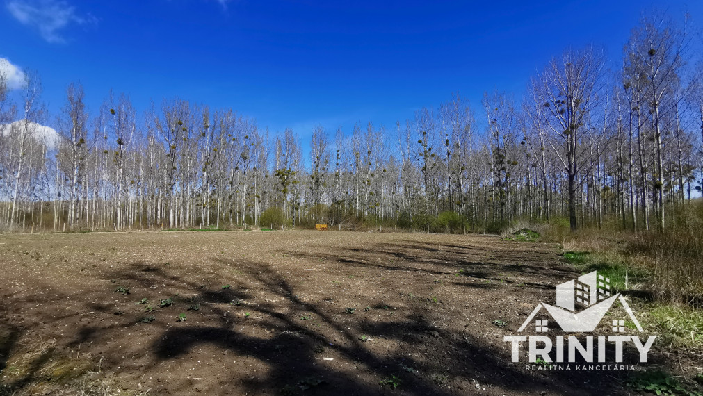 Znížená cena - Na predaj pozemok obklopený prírodou pri meste Kolárovo