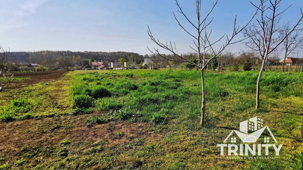 Na predaj veľký stavebný pozemok v obci Branovo