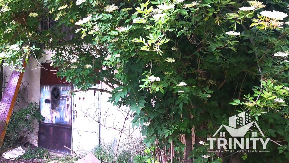 Na predaj stavebný pozemok so starším domom v obci Kolta