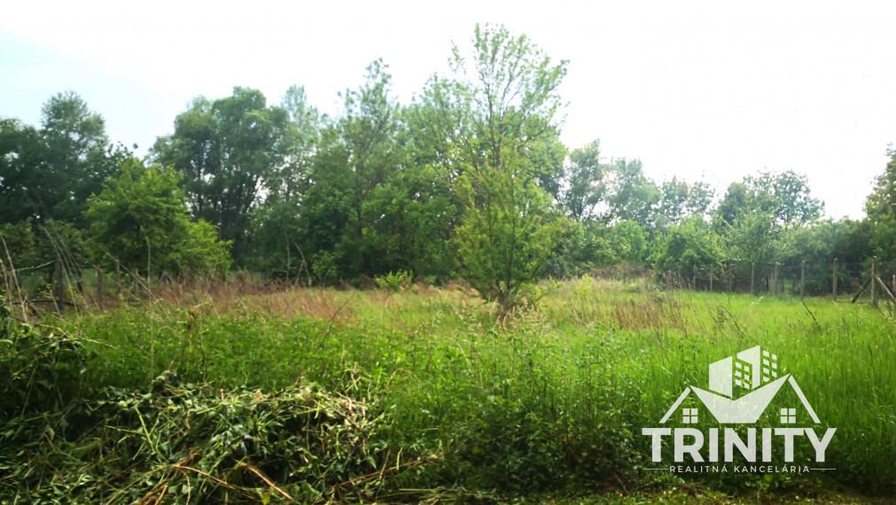 Na predaj stavebný pozemok so starším domom v obci Kolta