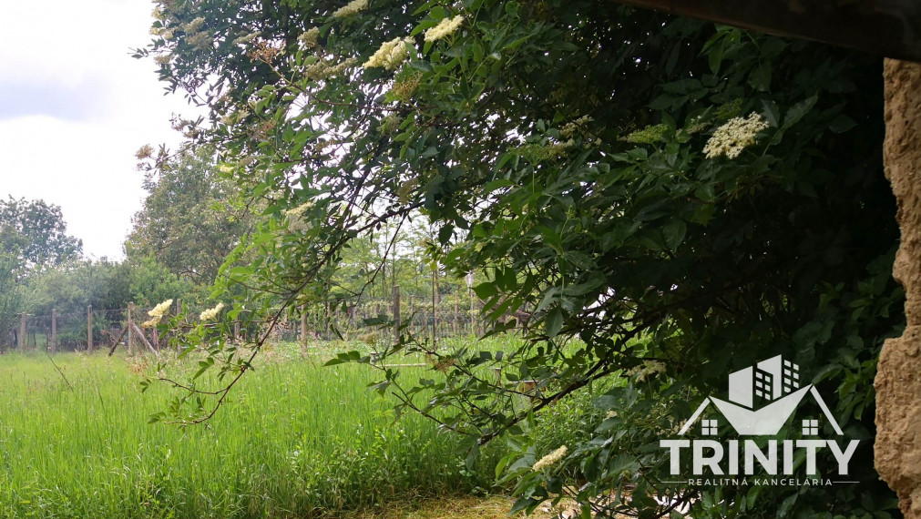 Na predaj stavebný pozemok so starším domom v obci Kolta