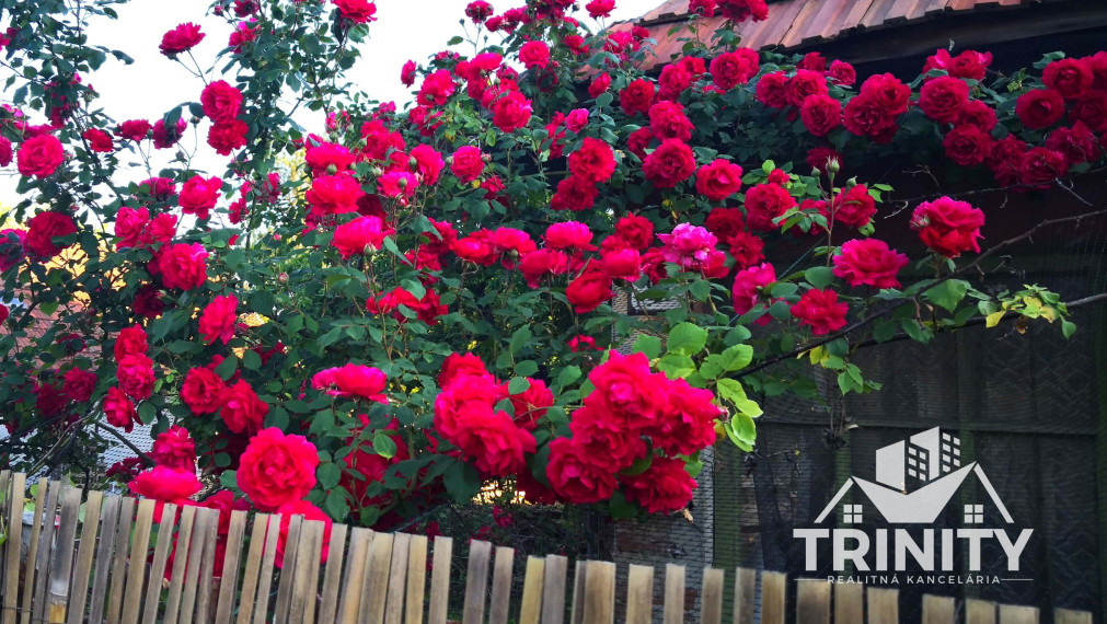 Na predaj stavebný pozemok so starším domom v obci Kolta