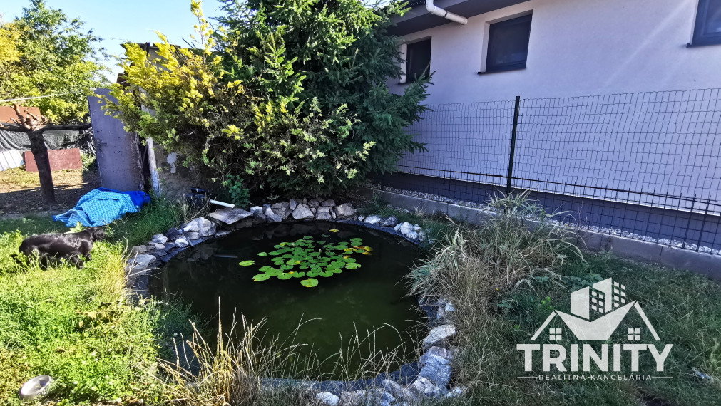 Na predaj 3-izbový rodinný dom v meste Šurany