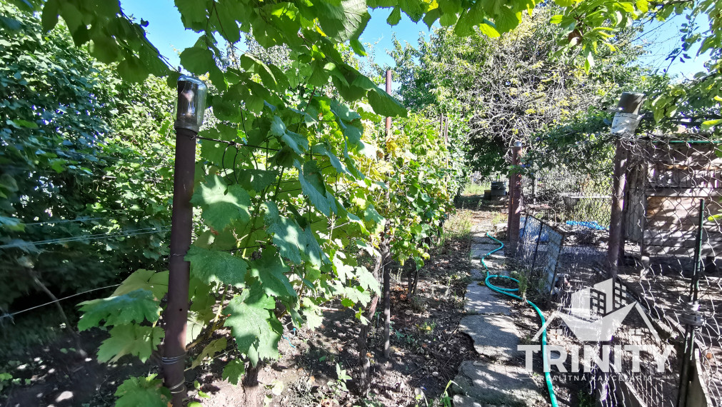 Na predaj 3-izbový rodinný dom v meste Šurany