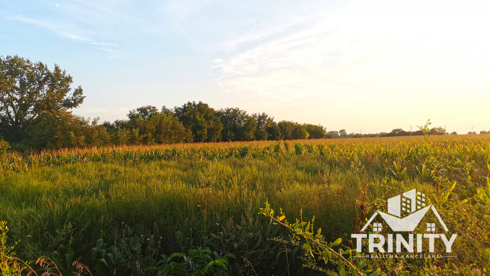 Na predaj viacúčelový pozemok v meste Nové Zámky