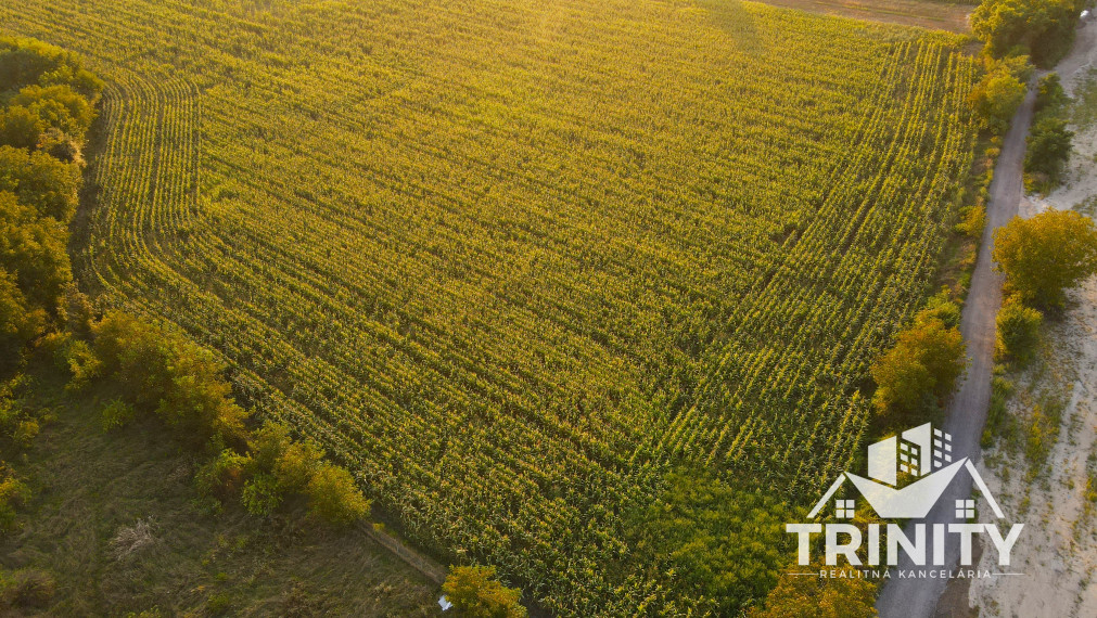 Na predaj viacúčelový pozemok v meste Nové Zámky