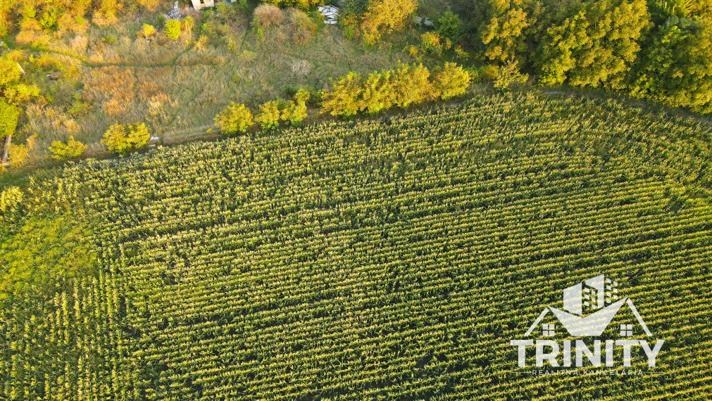 Na predaj viacúčelový pozemok v meste Nové Zámky