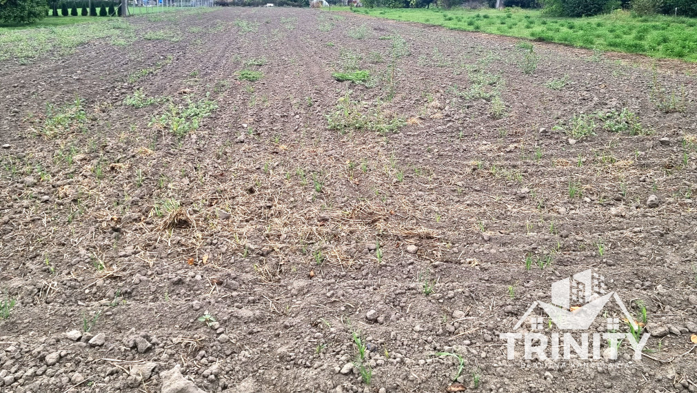 Na predaj stavebný pozemok v obci Kameničná