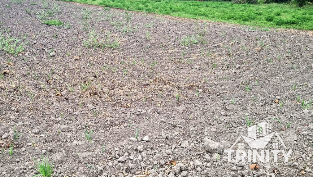 Na predaj stavebný pozemok v obci Kameničná