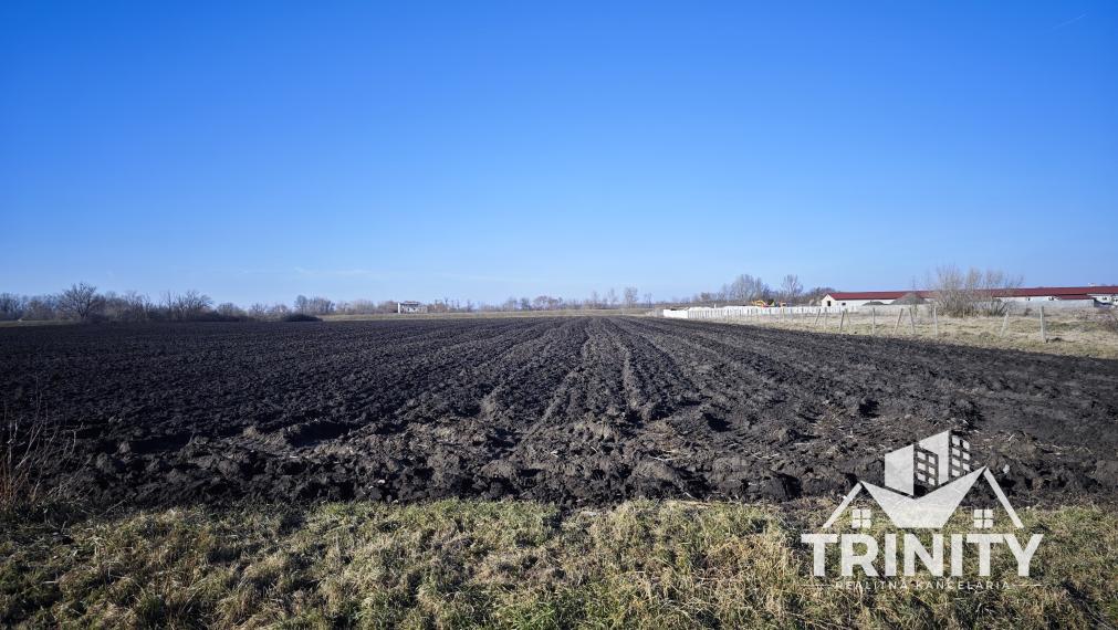 Na predaj pozemok pri obci Úľany nad Žitavou