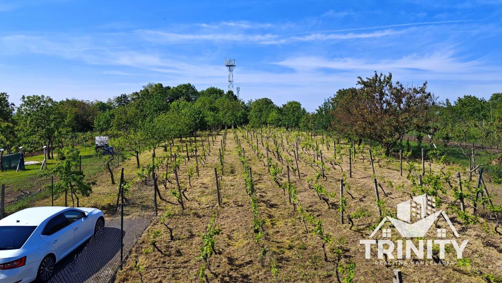 Znížená CENA! Na predaj chata v obci Trávnica, 3D obhliadka