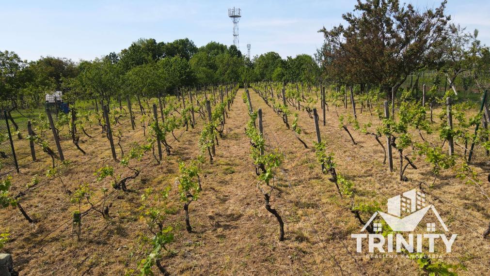 Znížená CENA! Na predaj chata v obci Trávnica, 3D obhliadka