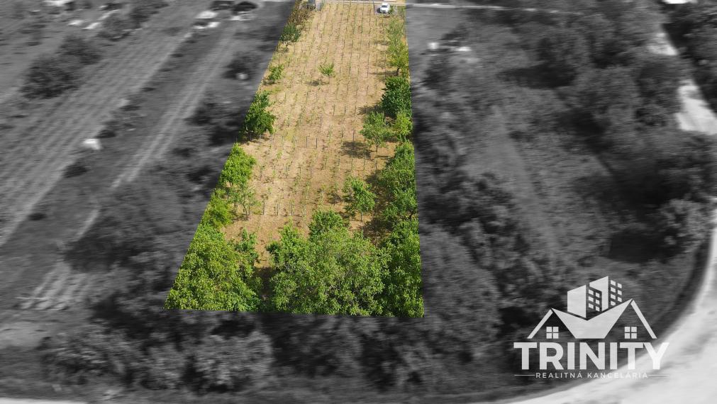 Znížená CENA! Na predaj chata v obci Trávnica, 3D obhliadka