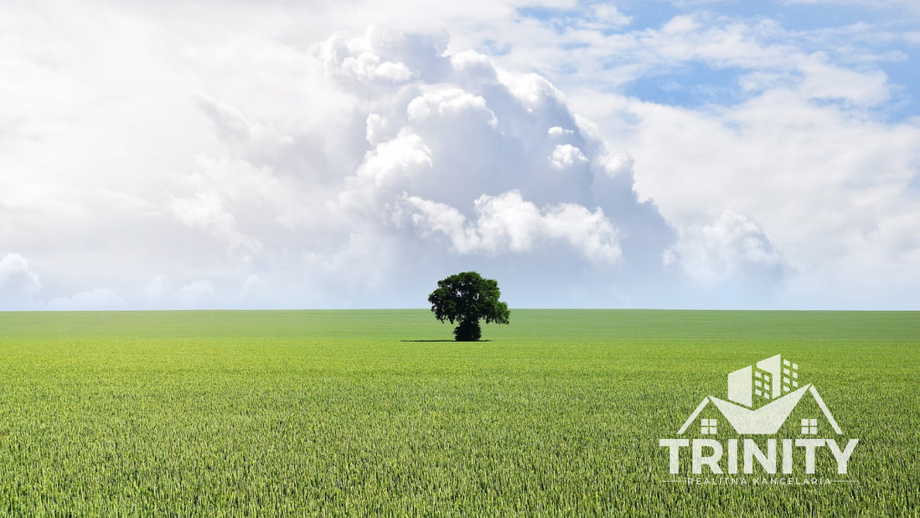 Na predaj stavebný pozemok v obci Nitriansky Hrádok - Šurany