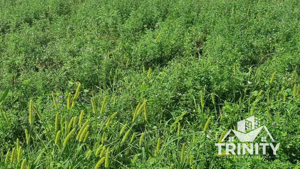 Na predaj dva slnečné stavebné pozemky v obci Andovce