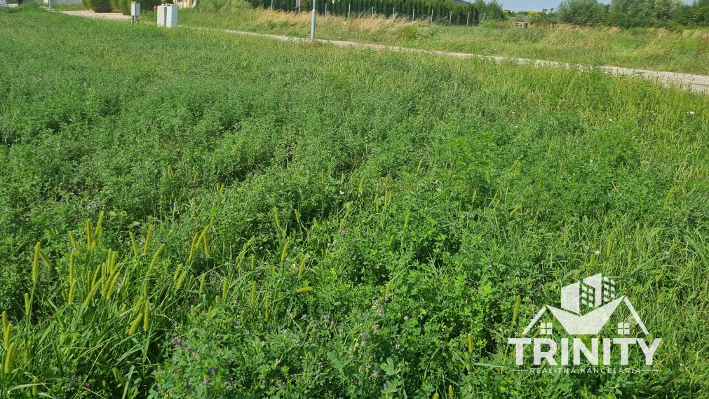 Na predaj dva slnečné stavebné pozemky v obci Andovce