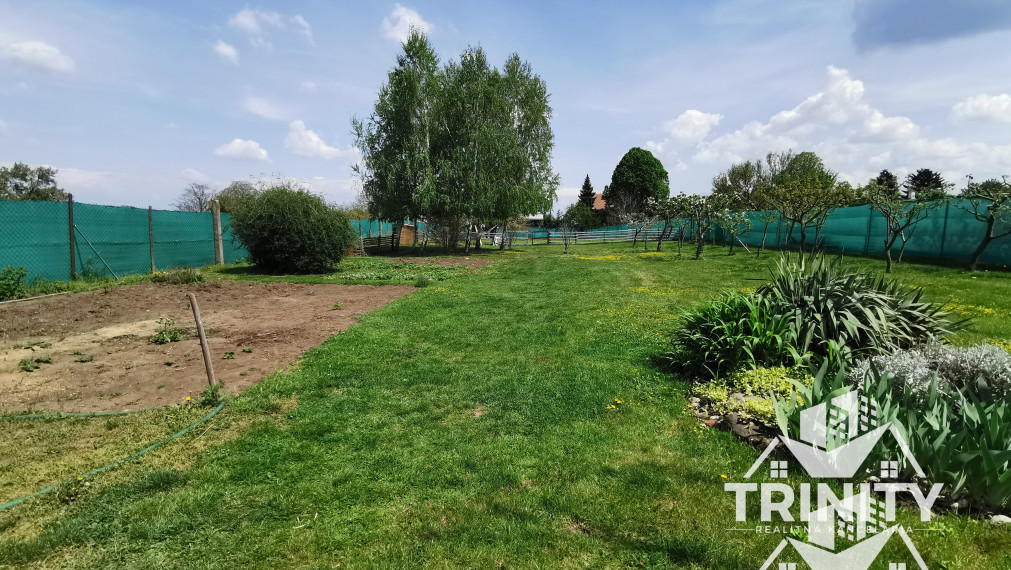 Na predaj stavebný pozemok v obci Ľudovítov - Palárikovo