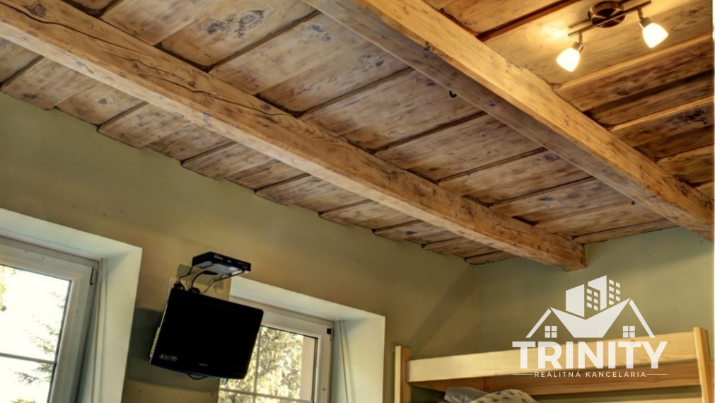 Na predaj Apartmánový dom - penzión v obci Podhájska