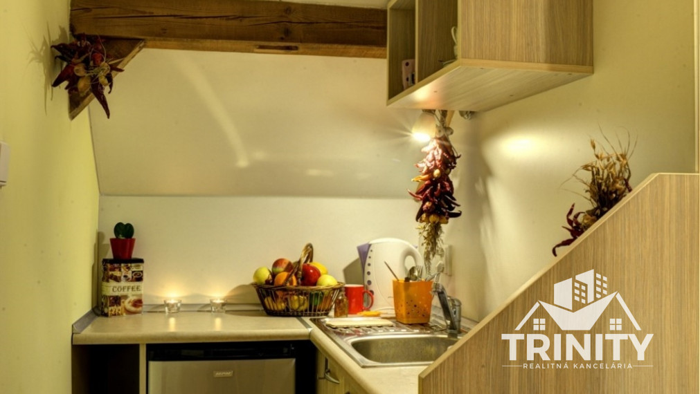 Na predaj Apartmánový dom - penzión v obci Podhájska