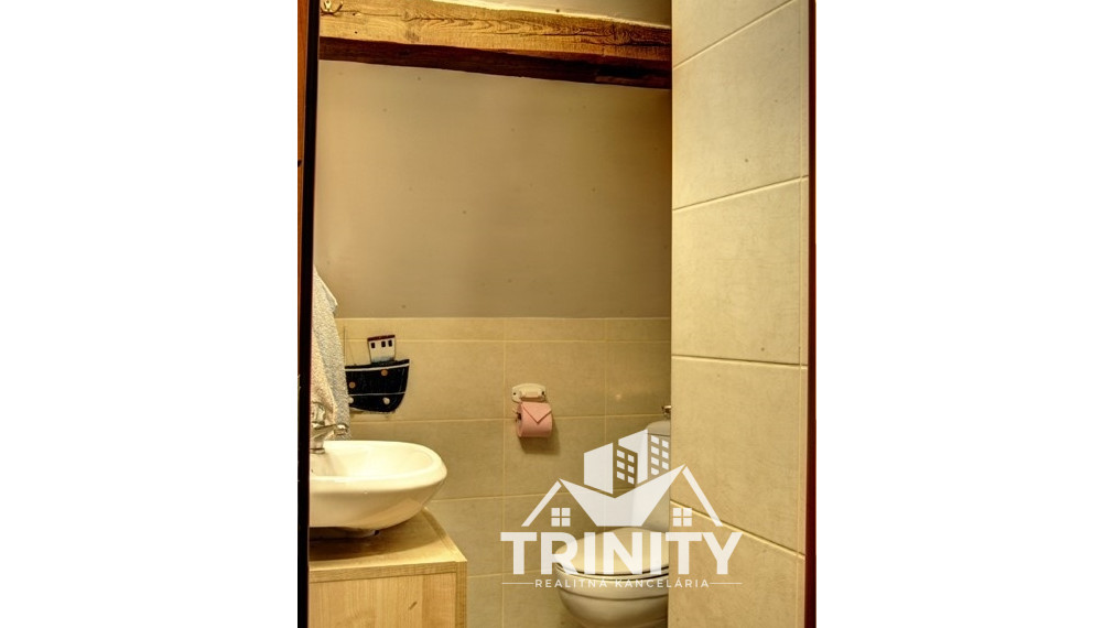 Na predaj Apartmánový dom - penzión v obci Podhájska