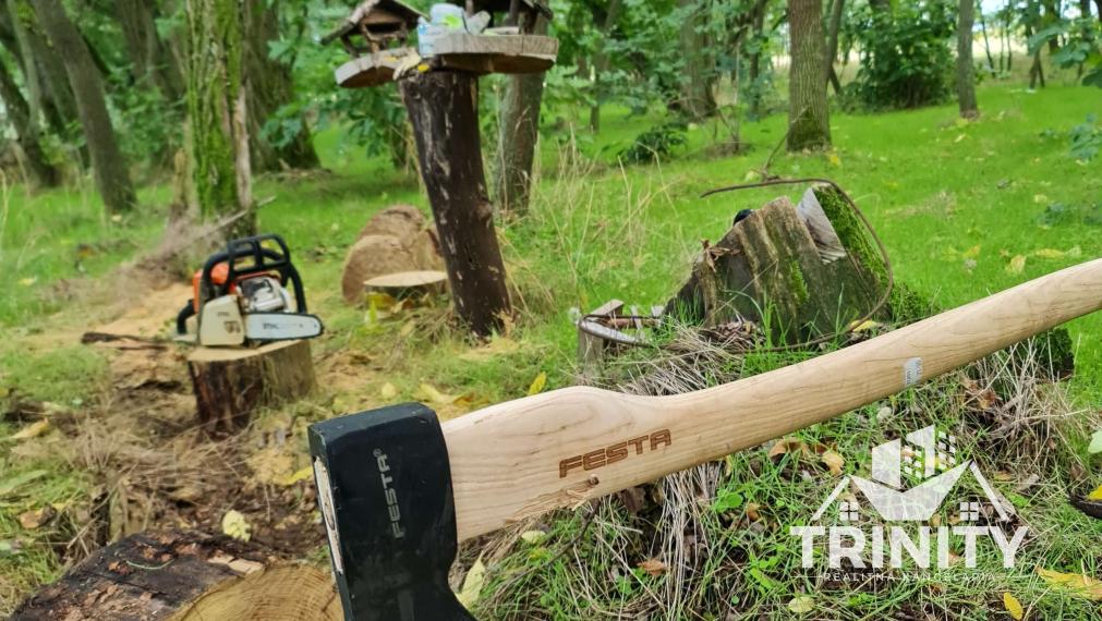 Na predaj LES medzi Komárnom a Hurbanovom, Svätý Peter