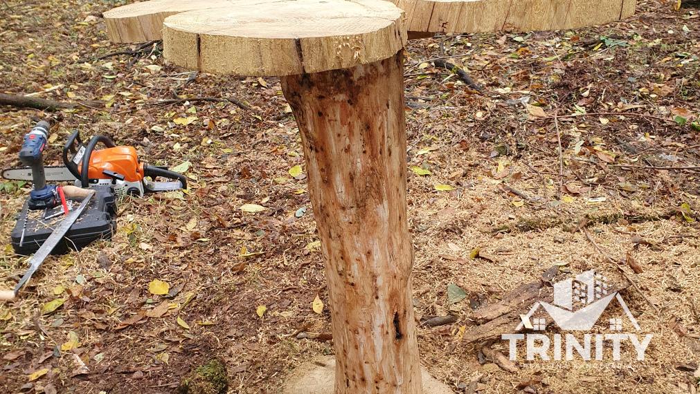 Na predaj LES medzi Komárnom a Hurbanovom, Svätý Peter