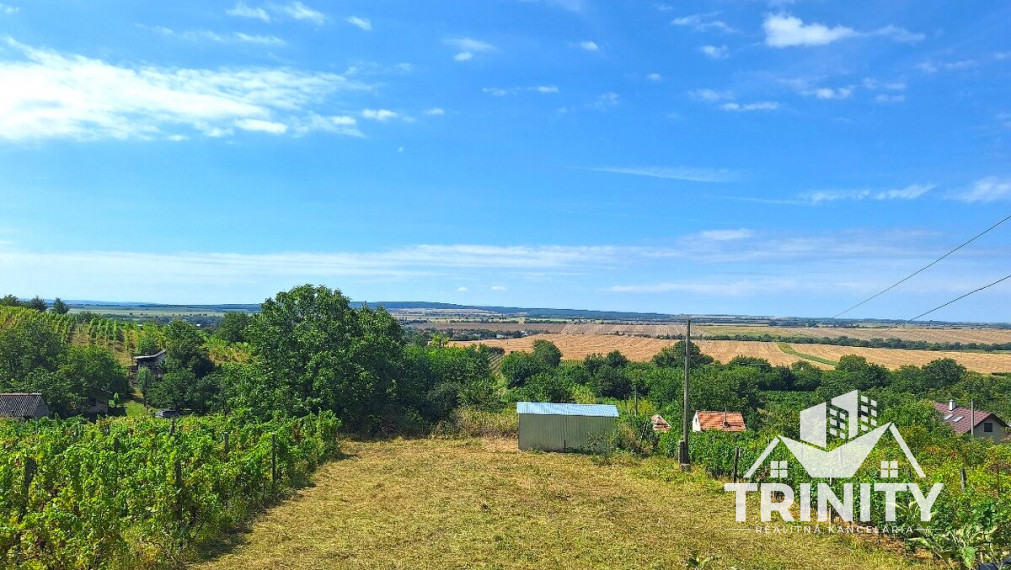 Na predaj 2x viničný dom s pozemkom v obci Strekov