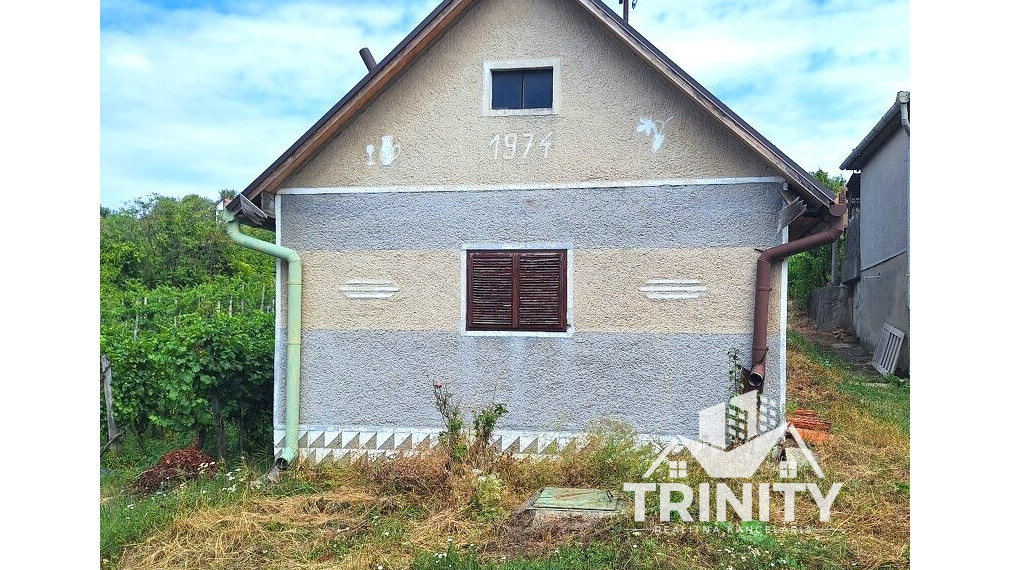 Na predaj 2x viničný dom s pozemkom v obci Strekov