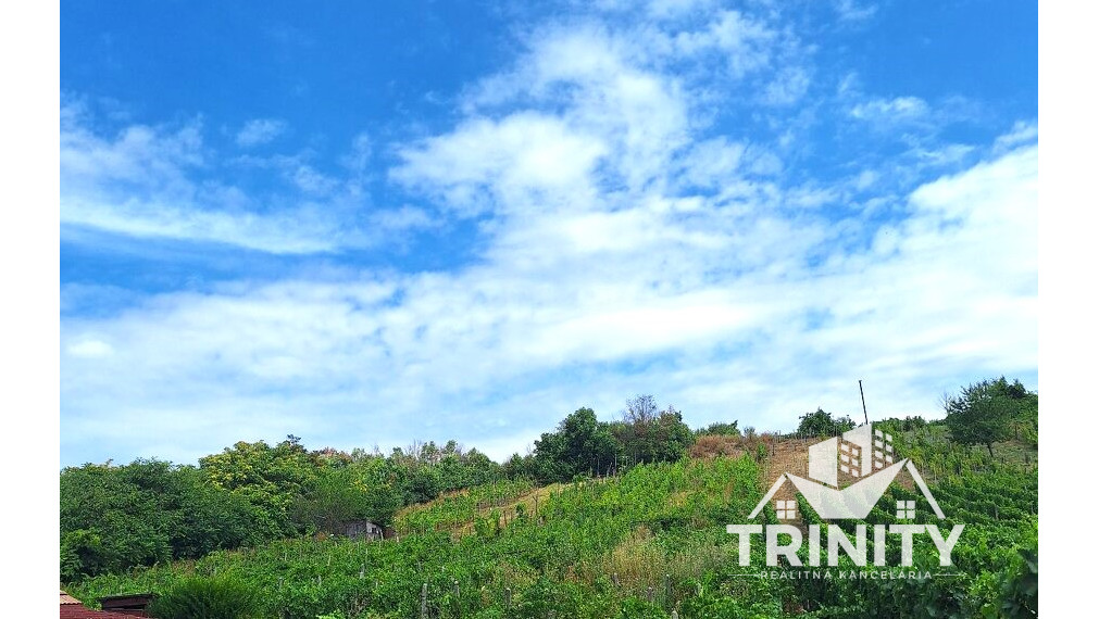 Na predaj 2x viničný dom s pozemkom v obci Strekov