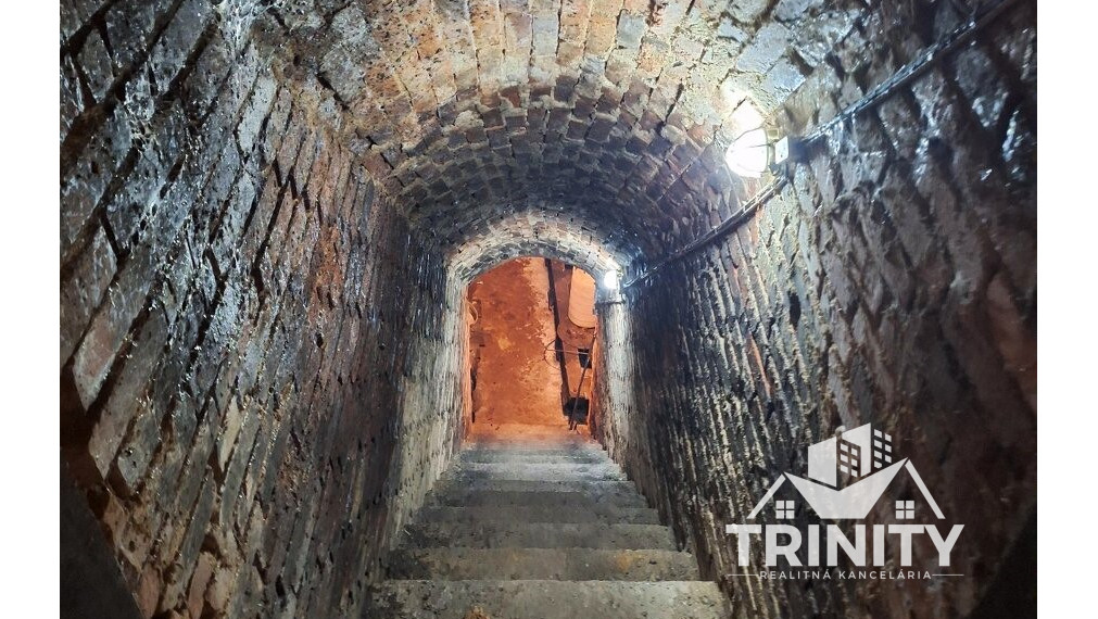 Na predaj 2x viničný dom s pozemkom v obci Strekov