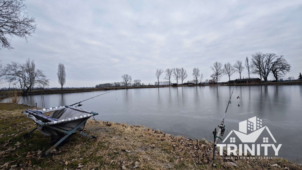 Na predaj zabehnutý rybník, jazero pri meste Kolárovo
