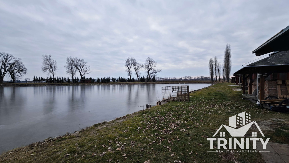 Na predaj zabehnutý rybník, jazero pri meste Kolárovo