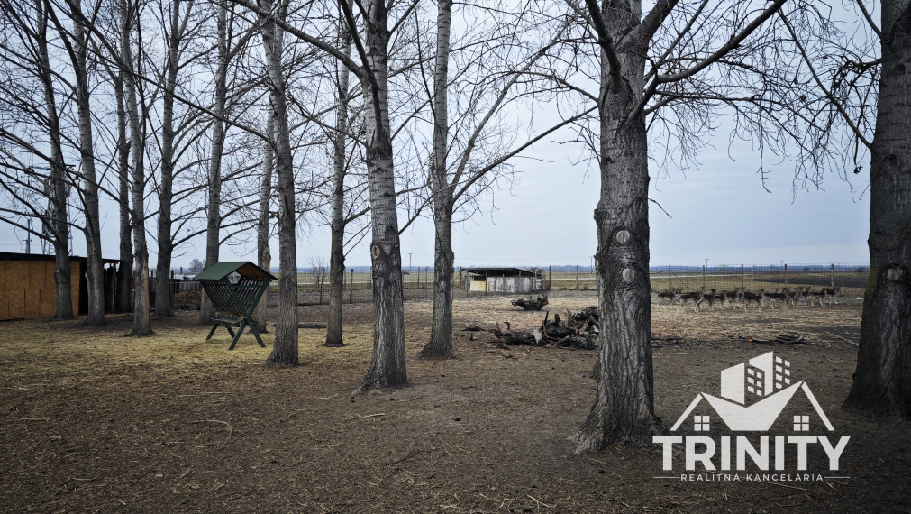Na predaj zabehnutý rybník, jazero pri meste Kolárovo