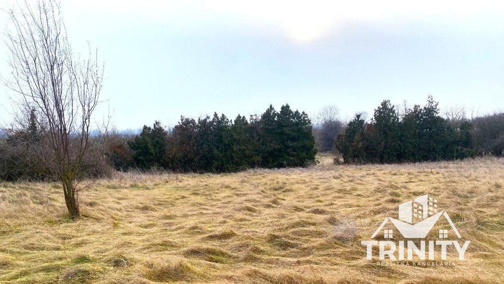 Na predaj stavebný pozemok v meste Hurbanovo