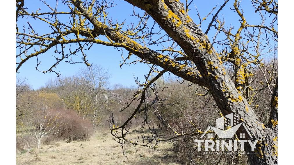 Znížená cena ! Na predaj stavebný pozemok v obci Bardoňovo