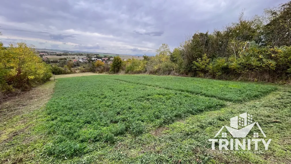 Na predaj investičný pozemok v obci Podhájska