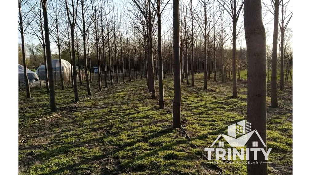 Na predaj pozemok - záhrada v obci Zemné