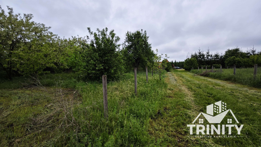 Na predaj stavebný pozemok s RD - NZ smer Nesvady (Ozón)